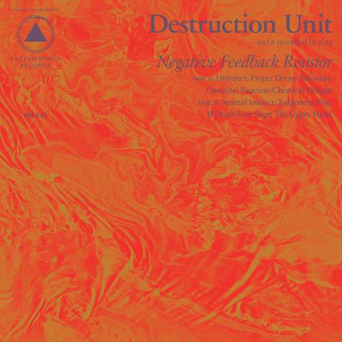Negative Feedback Resistor - Vinyl LP