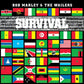 Survival - Vinyl LP