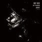 D-1000 - Vinyl LP