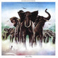 Armed Forces - Vinyl LP