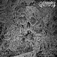 Palace of Vision - Vinyl LP