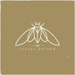Cicada Rhythm - Vinyl LP