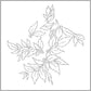 Momenta Quintae Essentiae - Vinyl LP