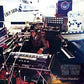 Anything You Sow - Vinyl LP