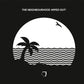 Wiped Out! - Vinyl LP180 Gram