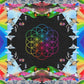 A Head Full Of Dreams - Vinyl LP 180 Gram