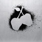 Silver Apples - Limited Edition Vinyl LP