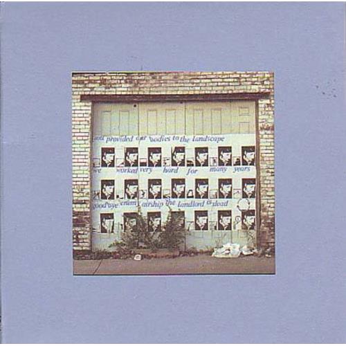 Goodbye Enemy Airship the Landlord Is Dead - Vinyl LP