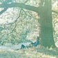 Plastic Ono Band - Vinyl LP