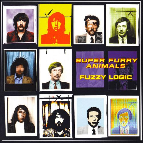 Fuzzy Logic - Vinyl LP