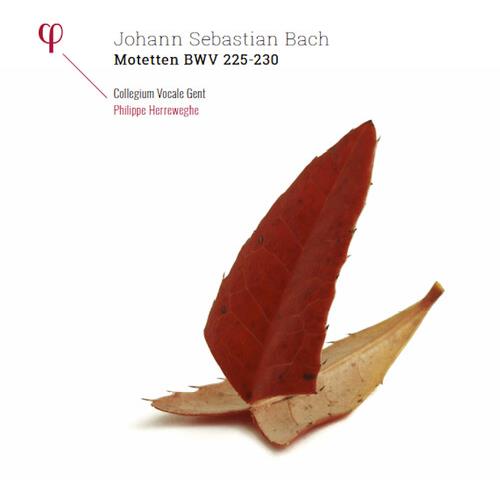 Johann Sebastian Bach: Motetten BWV 225-230 - Vinyl LP