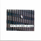 Bury Me At Makeout Creek - Vinyl LP