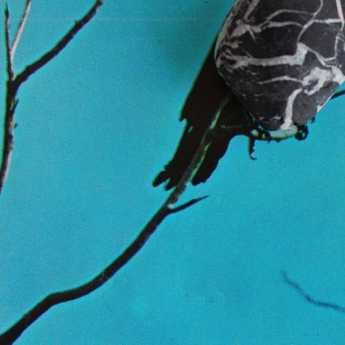 Stateless - Vinyl LP