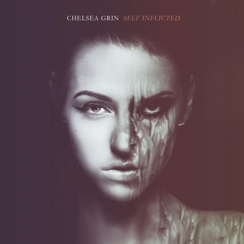 Self Inflicted - Vinyl LP (Black/Silver)