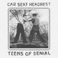 Teens Of Denial - Vinyl LP