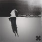 The North Corridor - Vinyl LP