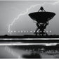 Bounce - Vinyl LP 180 Gram