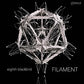 Filament - Vinyl LP