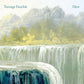 Here - Vinyl LP