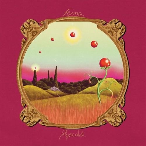 Physicalist - Vinyl LP