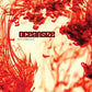 Effloresce - Vinyl LP