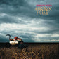 Broken Frame - Vinyl LP