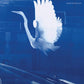 Waver The Absolute - Vinyl LP