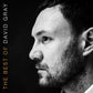 The Best Of David Gray - Vinyl LP