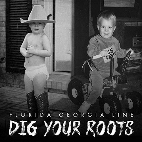 Dig Your Roots - Vinyl LP