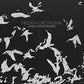 Dawn Chorus - Vinyl LP