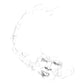 Sallow / Pine - Vinyl LP