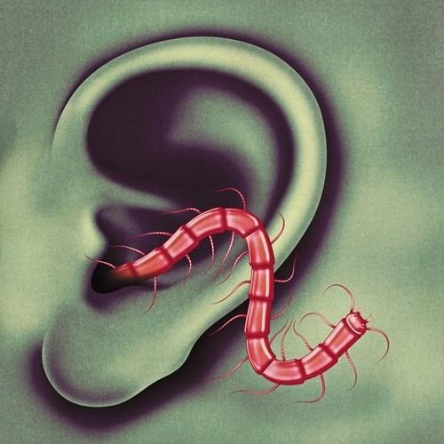 An Odd Entrances - Vinyl LP