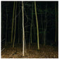 Fixed Rope Ii - Vinyl LP