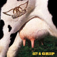 Get A Grip - Vinyl LP 180 Gram