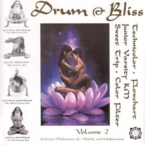 Drum & Bliss 2 (Various Artists) - Vinyl LP