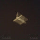 Infected Mass - Vinyl LP 180 Gram