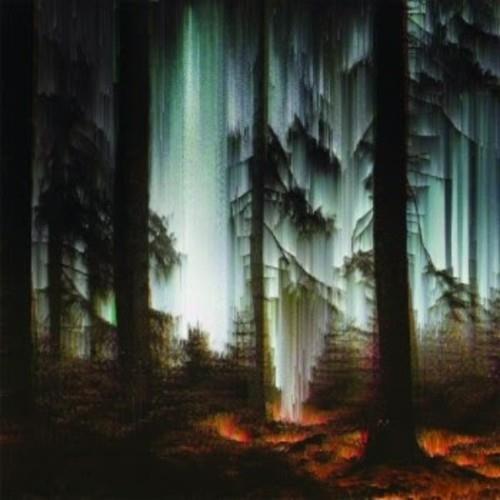 Keep The Voices Distant - Vinyl LP