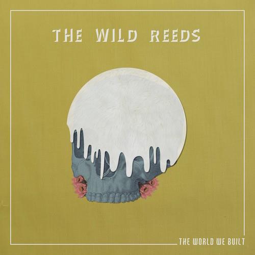 The World We Built - Vinyl LP