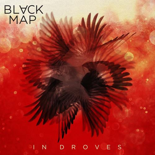 In Droves - Vinyl LP