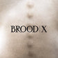 Brood X - Vinyl LP