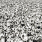 Listen Without Prejudice - Vinyl LP