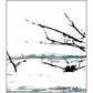 Vare - Limited Edition Vinyl LP 180 Gram (Black)