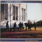 Caution Horses - Vinyl LP