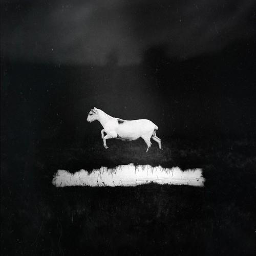 Predateurs - Vinyl LP 180 Gram (Black)