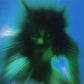 Safe In The Hands Of Love - Vinyl LP