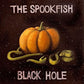 Black Hole - Vinyl LP