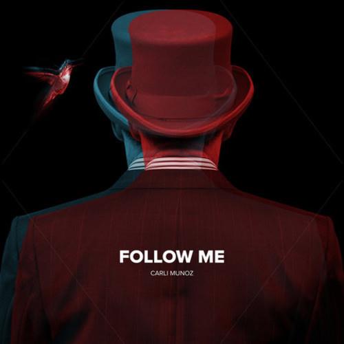 Follow Me - Vinyl LP 180 Gram
