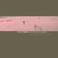 Look Now Look Again - Vinyl LP