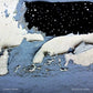 Pools Of Light - Vinyl LP 180 Gram