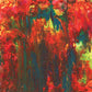 Rainbow Party - Vinyl LP
